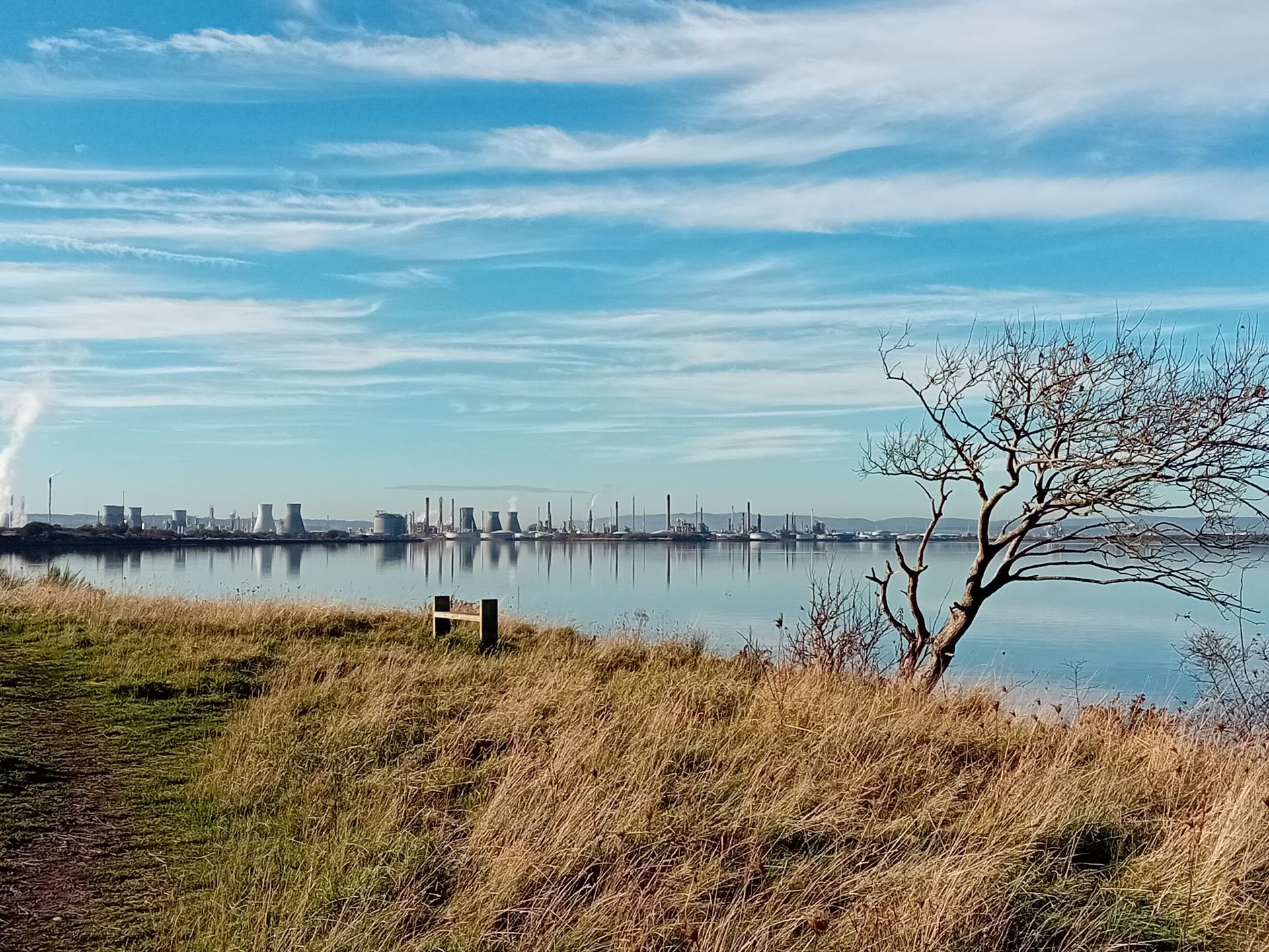 Grangemouth from Kinneil Nature Reserve
